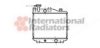 VAN WEZEL 11002005 Radiator, engine cooling